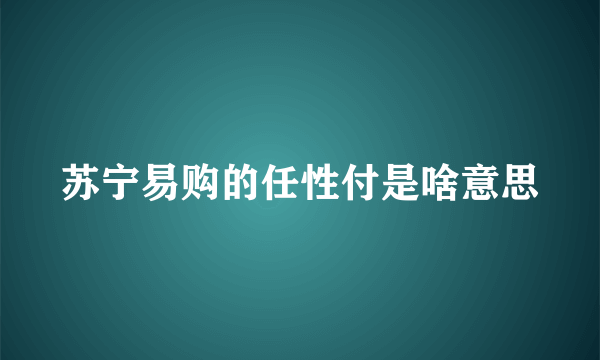 苏宁易购的任性付是啥意思