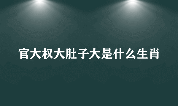 官大权大肚子大是什么生肖