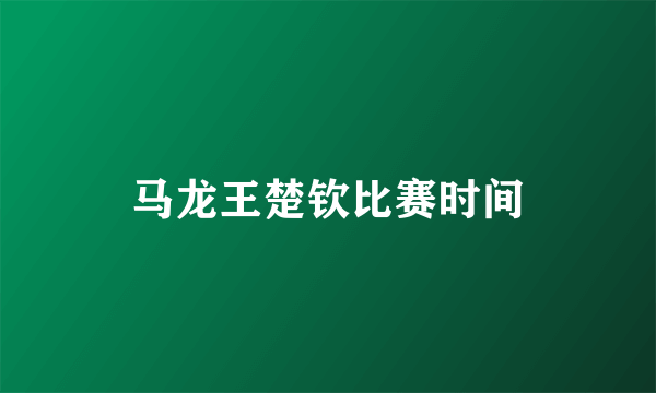 马龙王楚钦比赛时间