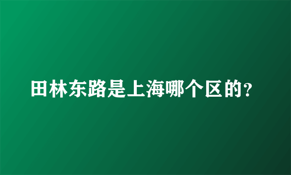 田林东路是上海哪个区的？