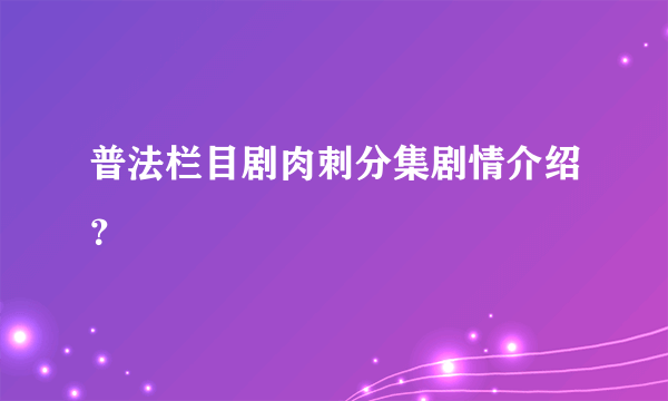 普法栏目剧肉刺分集剧情介绍？