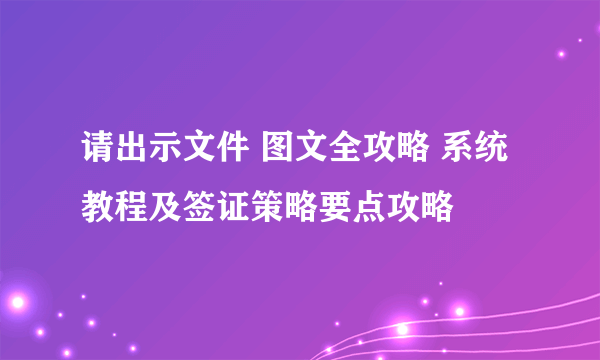 请出示文件 图文全攻略 系统教程及签证策略要点攻略