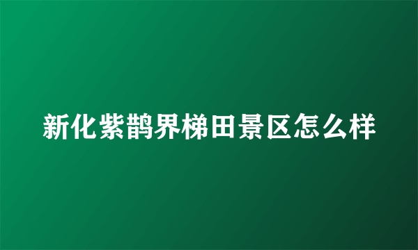 新化紫鹊界梯田景区怎么样