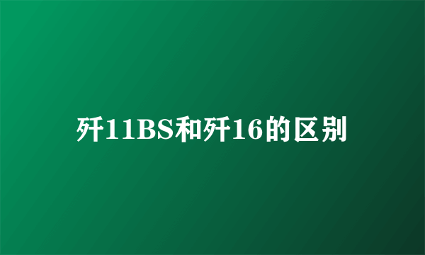 歼11BS和歼16的区别