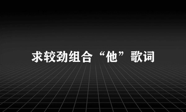 求较劲组合“他”歌词