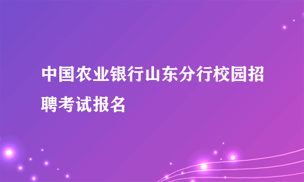 中国农业银行山东分行校园招聘考试报名