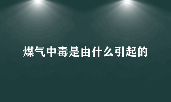 煤气中毒是由什么引起的