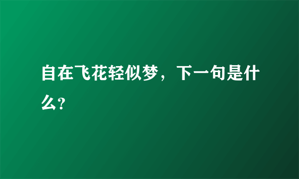 自在飞花轻似梦，下一句是什么？