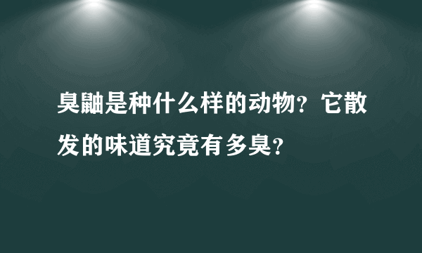 臭鼬是种什么样的动物？它散发的味道究竟有多臭？