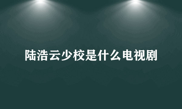 陆浩云少校是什么电视剧