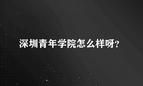 深圳青年学院怎么样呀？