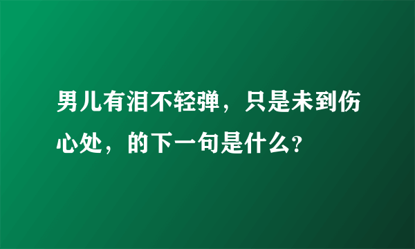 男儿有泪不轻弹，只是未到伤心处，的下一句是什么？