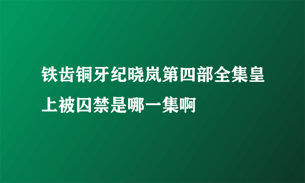 铁齿铜牙纪晓岚第四部全集皇上被囚禁是哪一集啊