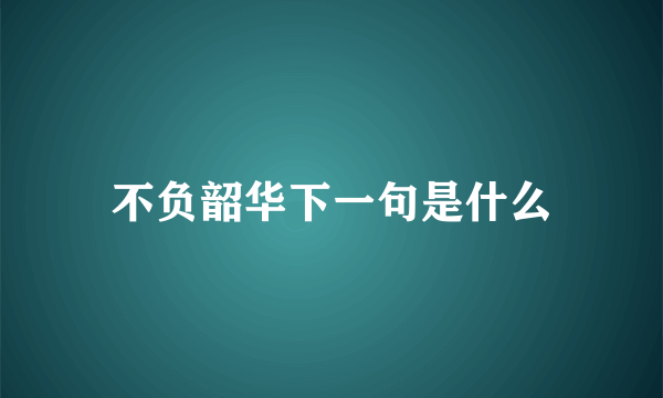 不负韶华下一句是什么