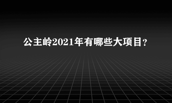 公主岭2021年有哪些大项目？