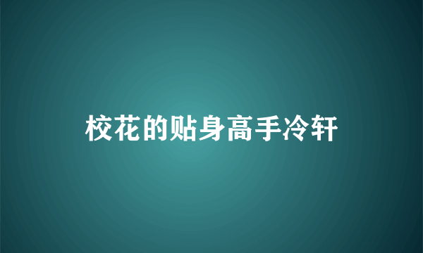 校花的贴身高手冷轩