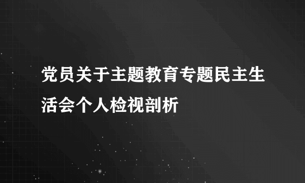 党员关于主题教育专题民主生活会个人检视剖析