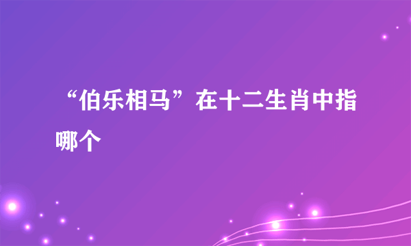 “伯乐相马”在十二生肖中指哪个