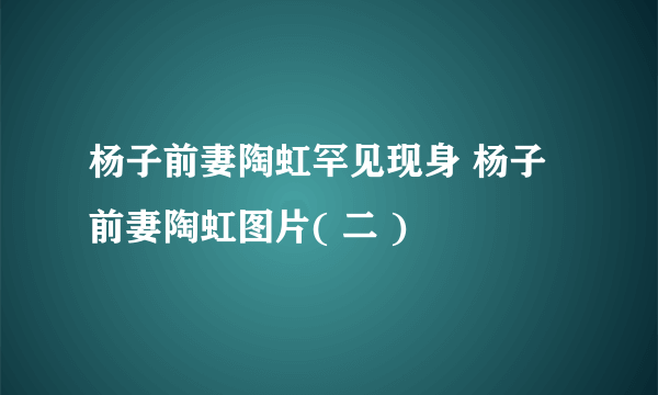 杨子前妻陶虹罕见现身 杨子前妻陶虹图片( 二 )