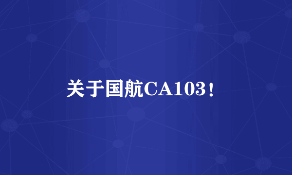 关于国航CA103！