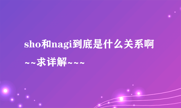 sho和nagi到底是什么关系啊~~求详解~~~