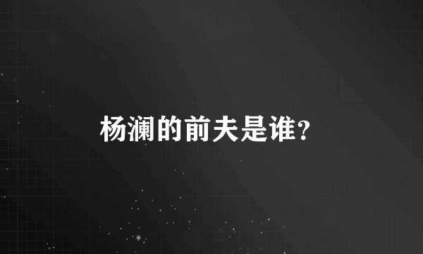 杨澜的前夫是谁？