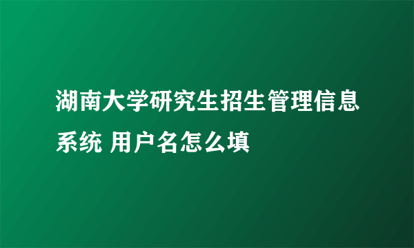 湖南大学研究生招生管理信息系统 用户名怎么填