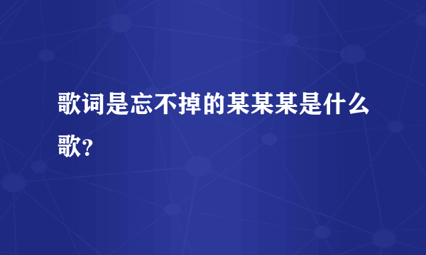 歌词是忘不掉的某某某是什么歌？