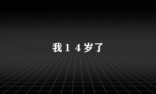 我１４岁了