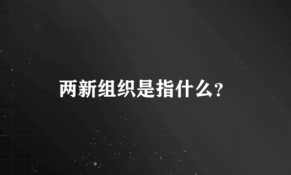 两新组织是指什么？