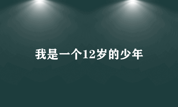 我是一个12岁的少年