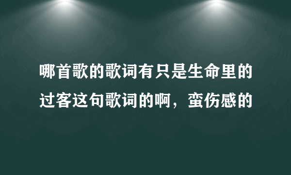 哪首歌的歌词有只是生命里的过客这句歌词的啊，蛮伤感的