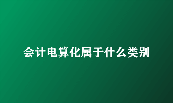 会计电算化属于什么类别