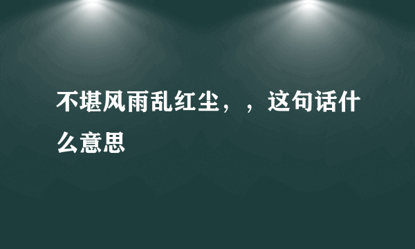 不堪风雨乱红尘，，这句话什么意思