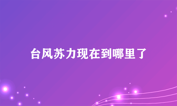 台风苏力现在到哪里了